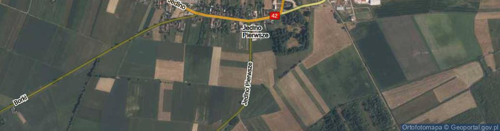 Zdjęcie satelitarne Jedlno Pierwsze ul.